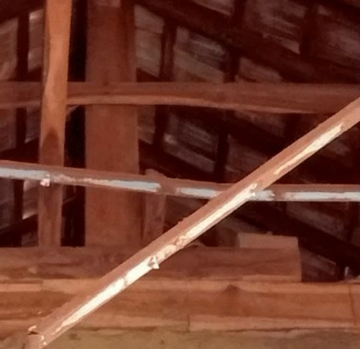 Gambar ini memiliki atribut alt yang kosong; nama berkasnya adalah IMG_20260212_112229-1.jpg