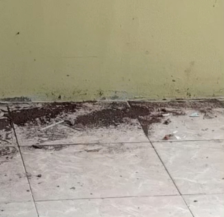 Gambar ini memiliki atribut alt yang kosong; nama berkasnya adalah IMG_20260212_112250.jpg