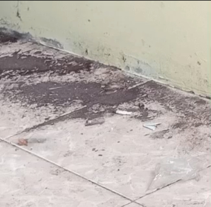 Gambar ini memiliki atribut alt yang kosong; nama berkasnya adalah IMG_20260212_112449.jpg