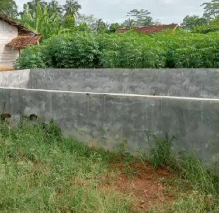 Gambar ini memiliki atribut alt yang kosong; nama berkasnya adalah IMG_20260212_112509.jpg