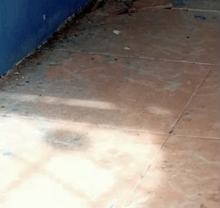 Gambar ini memiliki atribut alt yang kosong; nama berkasnya adalah IMG_20260212_112752.jpg